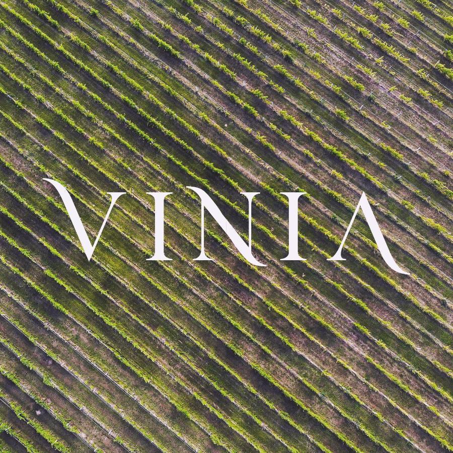 Вилла La Vinia Bed&Wine Experience - Adults Only Сассари Экстерьер фото