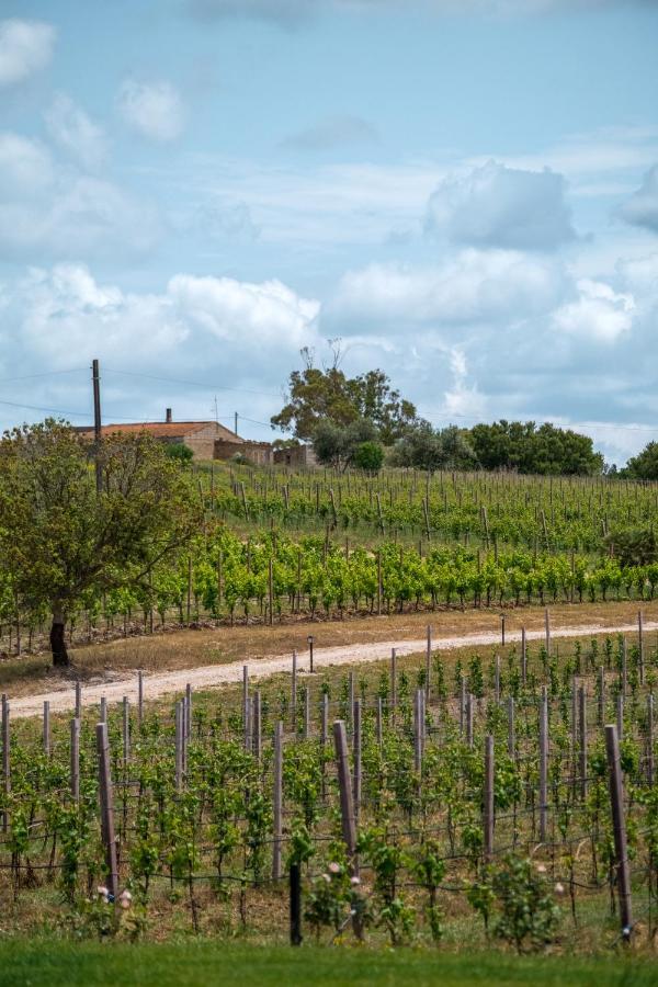 Вилла La Vinia Bed&Wine Experience - Adults Only Сассари Экстерьер фото
